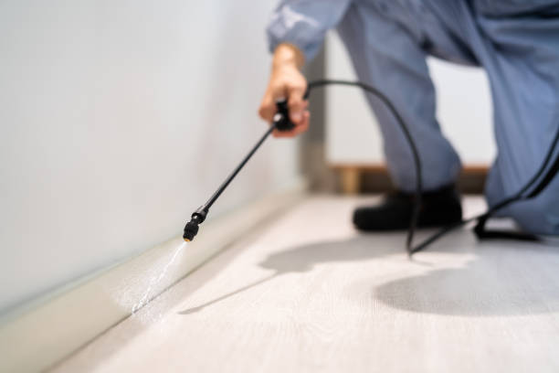 Bed Bug Pre-Treatment Preparation Assessment in Colmar Manor