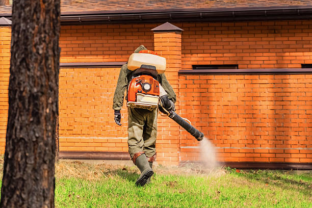 Bed Bug Clearance Verification and Documentation in Colmar Manor